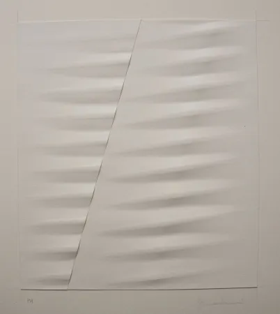 凸版印刷 Bonalumi - Bianco