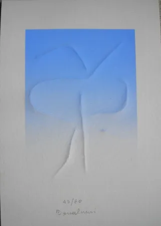 凸版印刷 Bonalumi - La denarrazione