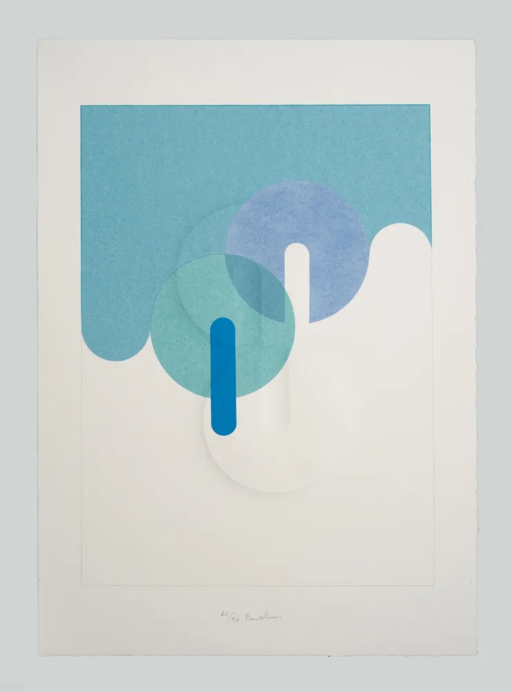 凸版印刷 Bonalumi - Superficie (B)