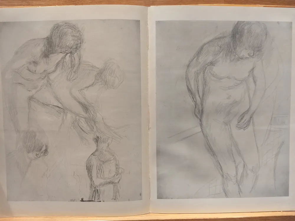 插图书 Bonnard - Couleur De Bonnard