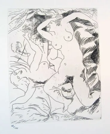 蚀刻版画 Bores - Carpeta