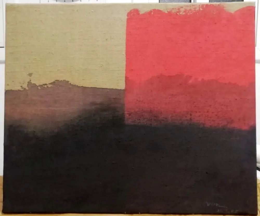 无技术 Borrell Palazón - Estructura rosa sobre negre