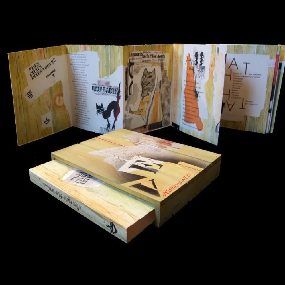 插图书 Botti  - Des chats dites-vous ?