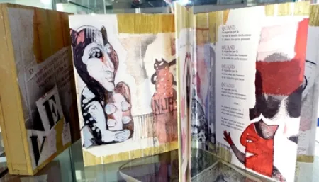 插图书 Botti  - Des chats dites-vous ?