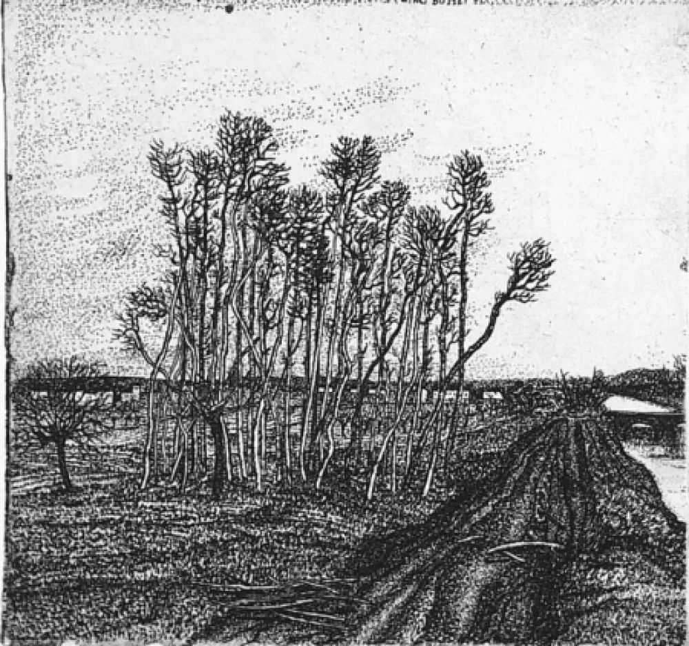 蚀刻版画 Bozzetti - Il boschetto lungo l'argine (II versione)