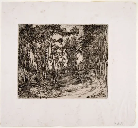 版画 Bozzetti - IL BOSCO CHE GUARDA VERSO L'ESTERNO (The forest that looks to the outside) 