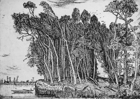 蚀刻版画 Bozzetti - Il bosco in riva al fiume: sera