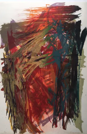 石版画 Brandes - Sans titre