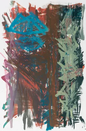 石版画 Brandes - Sans titre