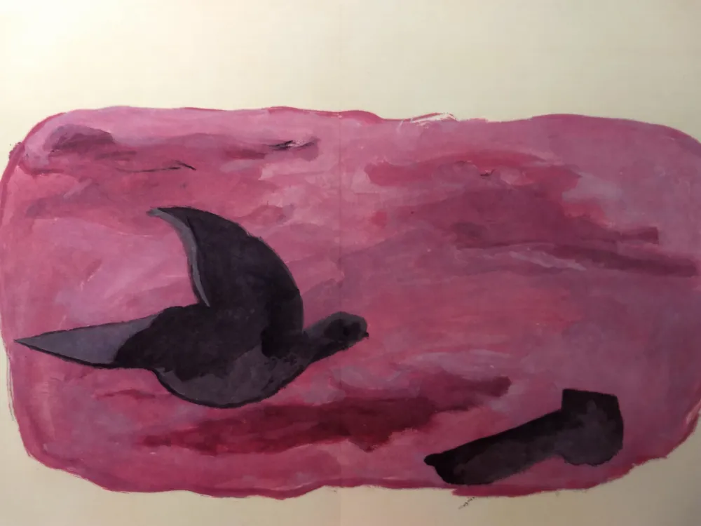 插图书 Braque - DLM 166