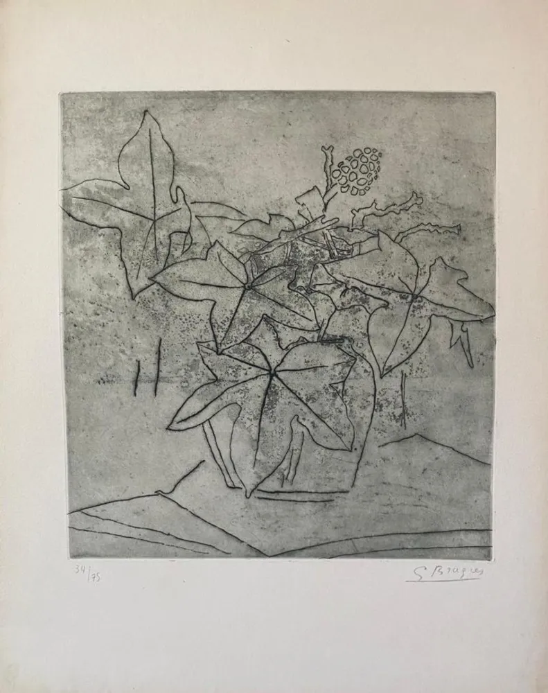 版画 Braque - Le Lierre #99