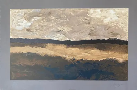 石版画 Braque - Les Champs M#1045