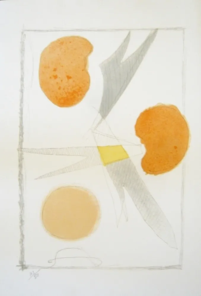 石版画 Braque - Tirée de La liberté des mers