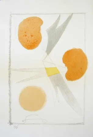 石版画 Braque - Tirée de La liberté des mers