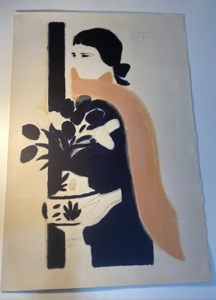 无技术 Brasilier - L écharpe rose