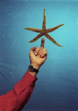 摄影 Bratkov - Dream about double Killing