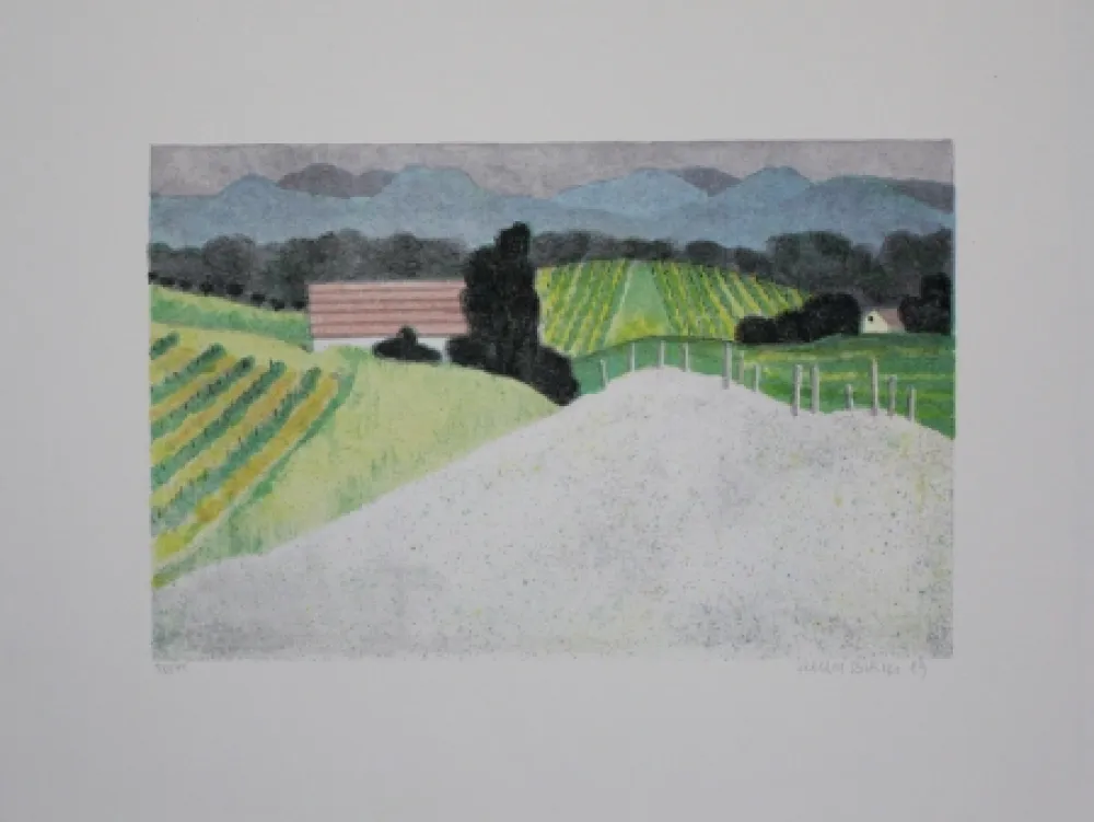 石版画 Breiter - Landschaft / Landscape