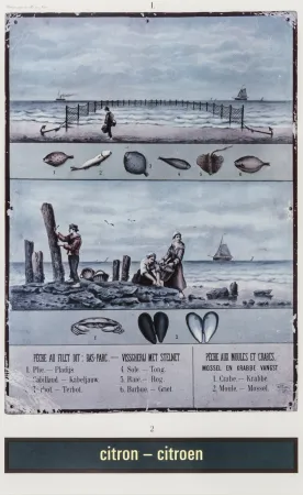 丝网印刷 Broodthaers - Citron - Citroen