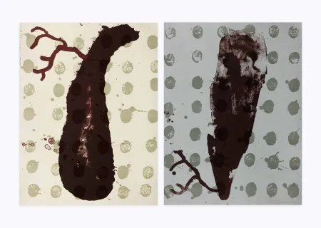 石版画 Brown - Two cells diptyque
