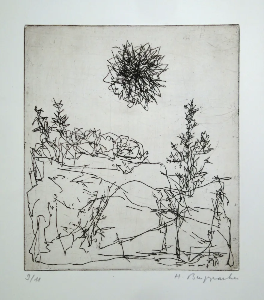 蚀刻版画 Bruppacher - Untitled