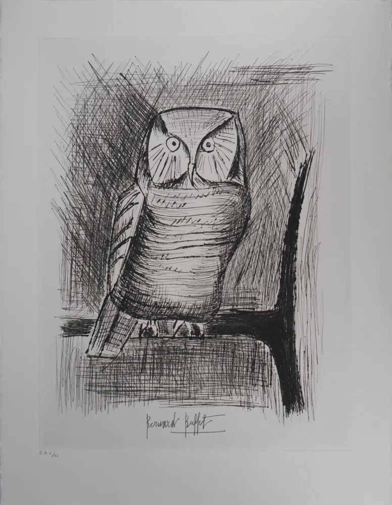 版画 Buffet - Chouette épervière,