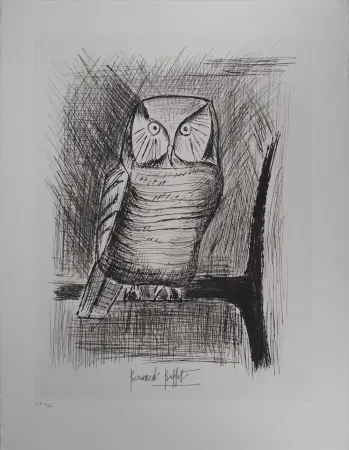 版画 Buffet - Chouette épervière,
