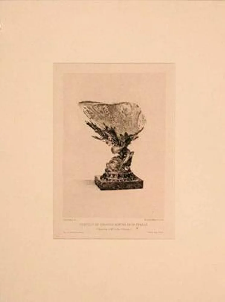 版画 Buhot - Coquille de girasole