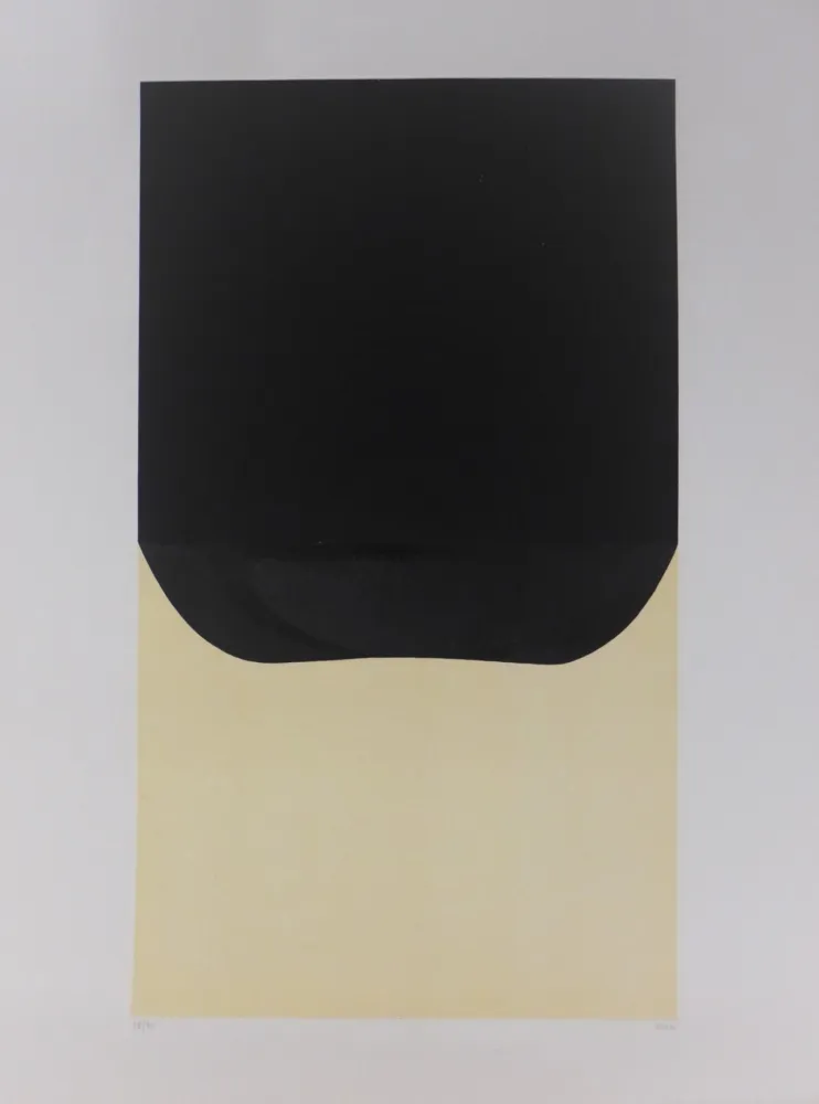 石版画 Burri - Bianchi e Neri II-D