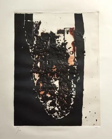 蚀刻飞尘法 Burri - Combustione