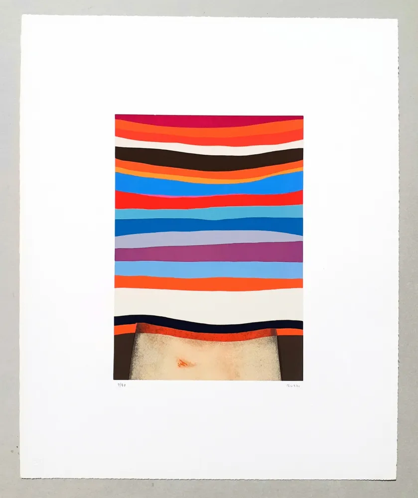 丝网印刷 Burri - Serigrafia 1-D