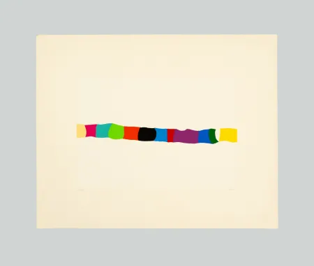 丝网印刷 Burri - Serigrafia 2-C