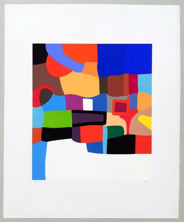 丝网印刷 Burri - Serigrafia 2-D