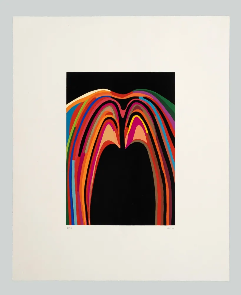 丝网印刷 Burri - Serigrafia 3-B