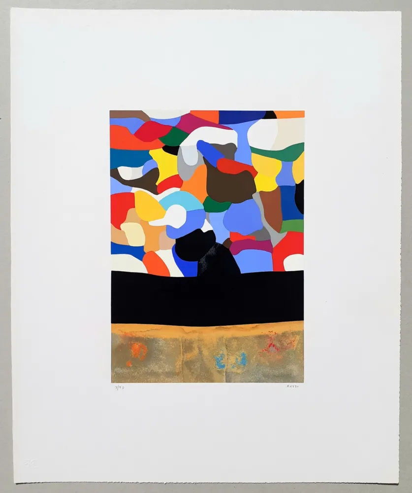 丝网印刷 Burri - Serigrafia 3-D