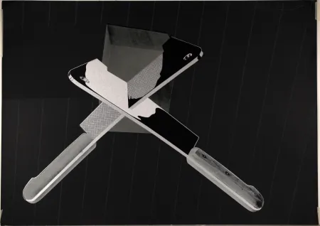 丝网印刷 Burwitz - Cross-Purpose