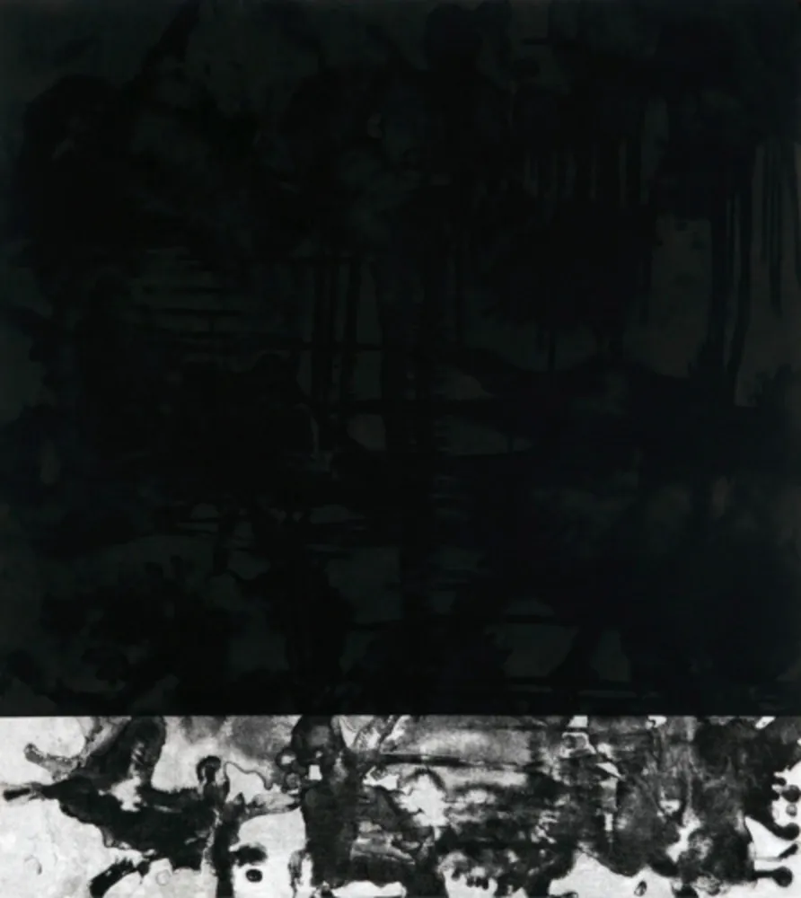 飞尘腐蚀法 Cabrita Reis - E as estrelas do céu cairam na terra....I