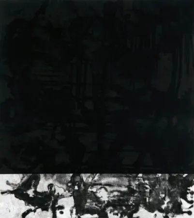 飞尘腐蚀法 Cabrita Reis - E as estrelas do céu cairam na terra....I