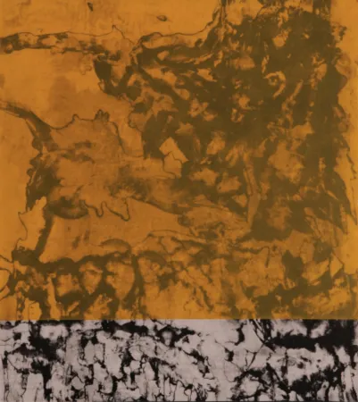 飞尘腐蚀法 Cabrita Reis - E as estrelas do céu cairam na terra....II