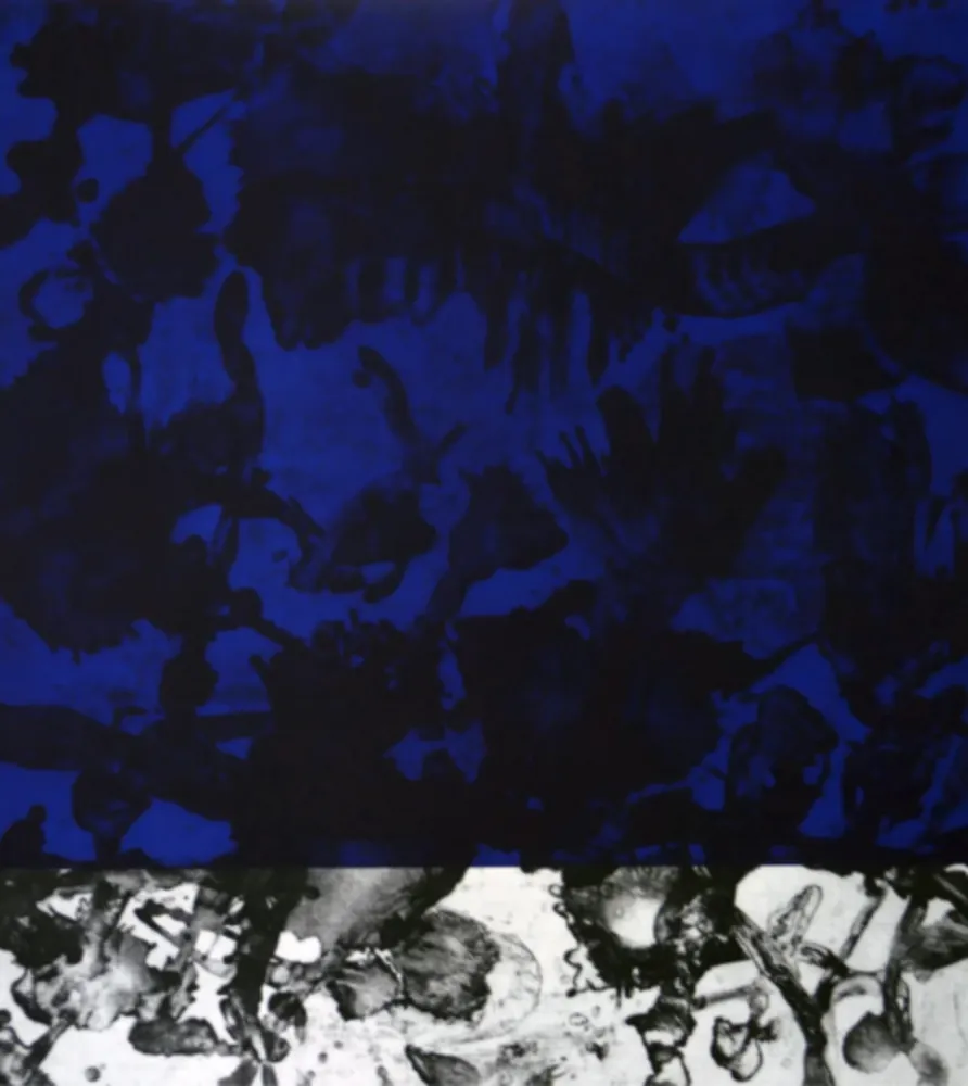 飞尘腐蚀法 Cabrita Reis - E as estrelas do céu cairam na terra....IV