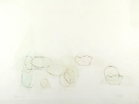 干刻版画 Cage - Ryoku 2