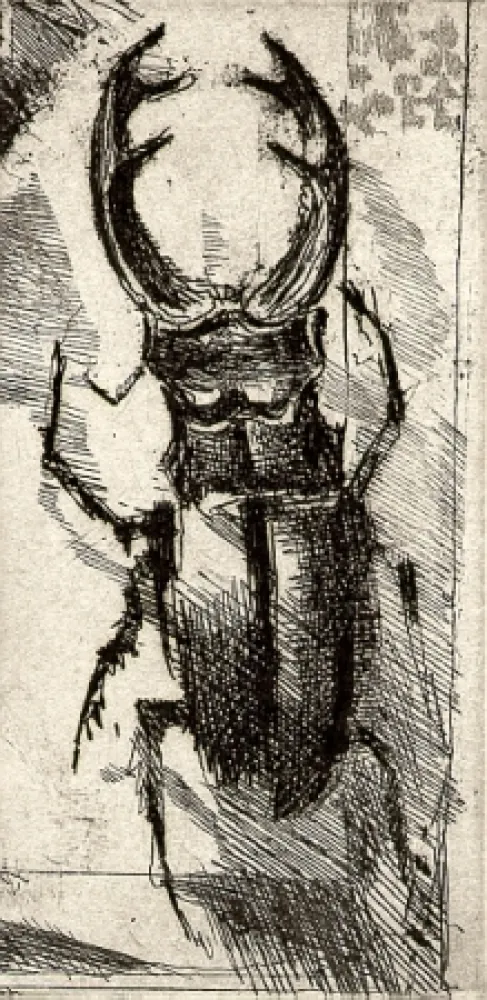 插图书 Calandri - Ballades et Rondeaux du Testament Villon