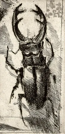 插图书 Calandri - Ballades et Rondeaux du Testament Villon