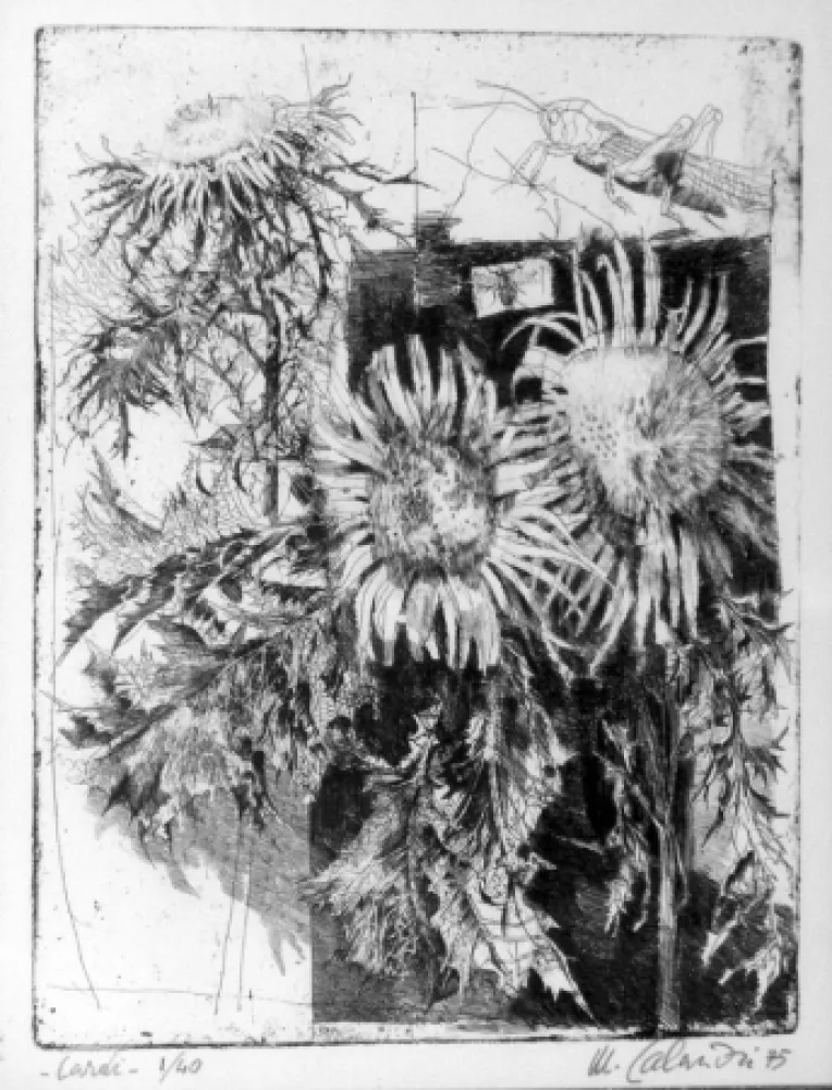 蚀刻版画 Calandri - Cardi