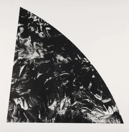 石版画 Calder - Baie Rouge