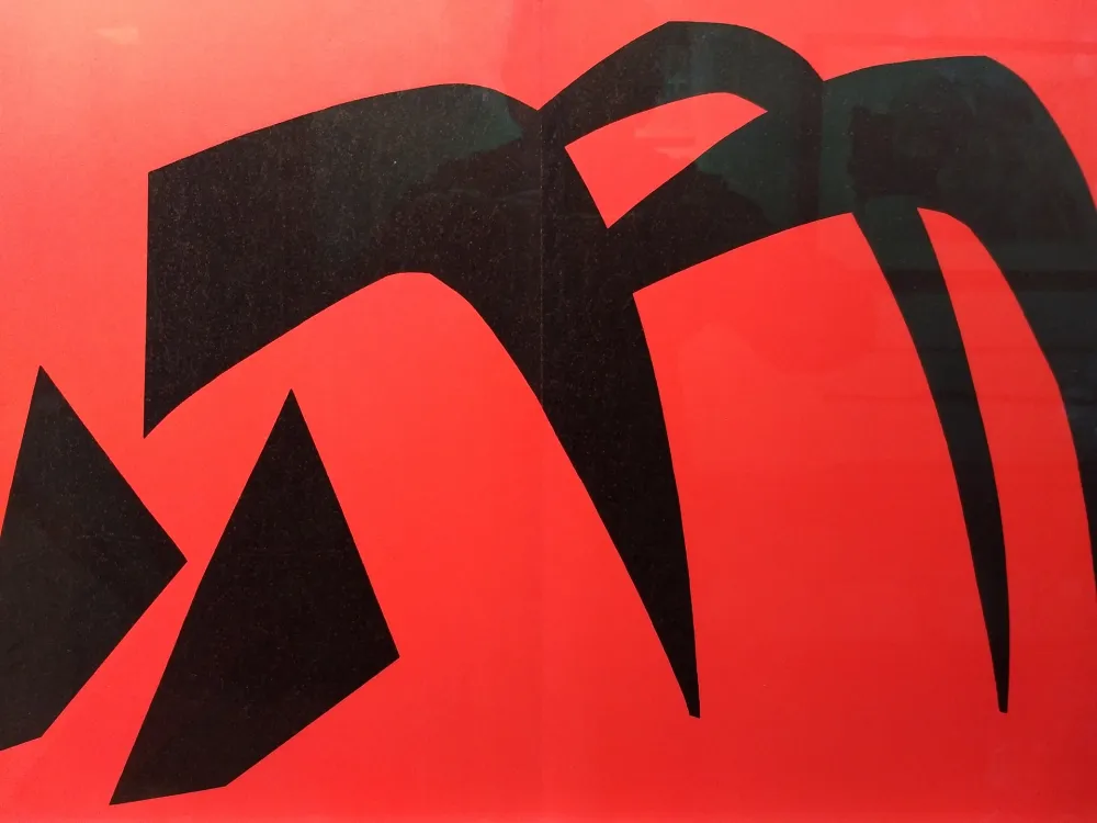 插图书 Calder - DLM 113