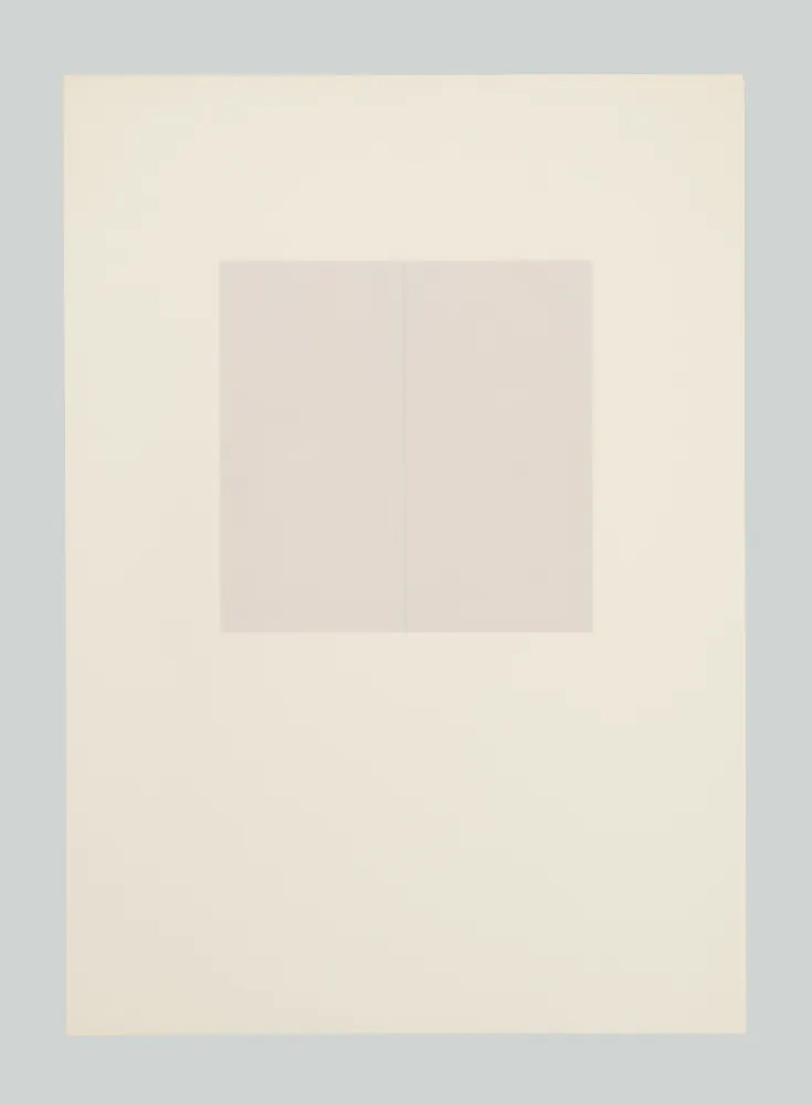 丝网印刷 Calderara - E poi (Tav. E)