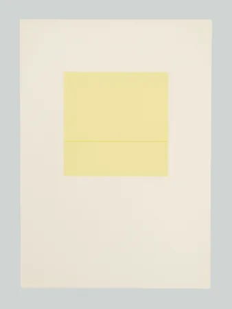 丝网印刷 Calderara - E poi (Tav. F)