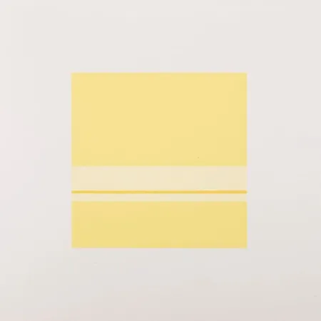 丝网印刷 Calderara - Giallo