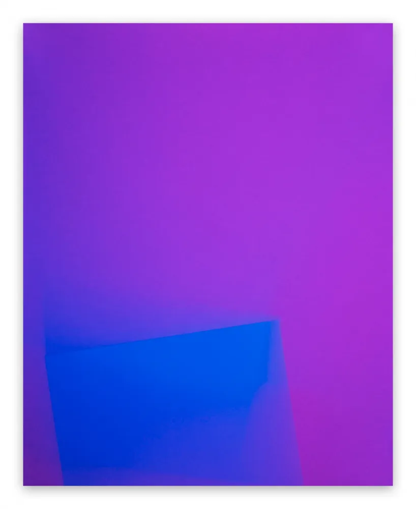 摄影 Caldicot - Chance/Fall (6), 2010