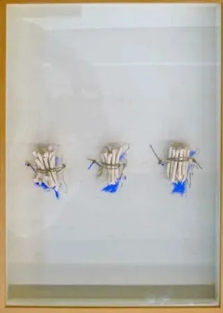 无技术 Calvo - Historia pendiente